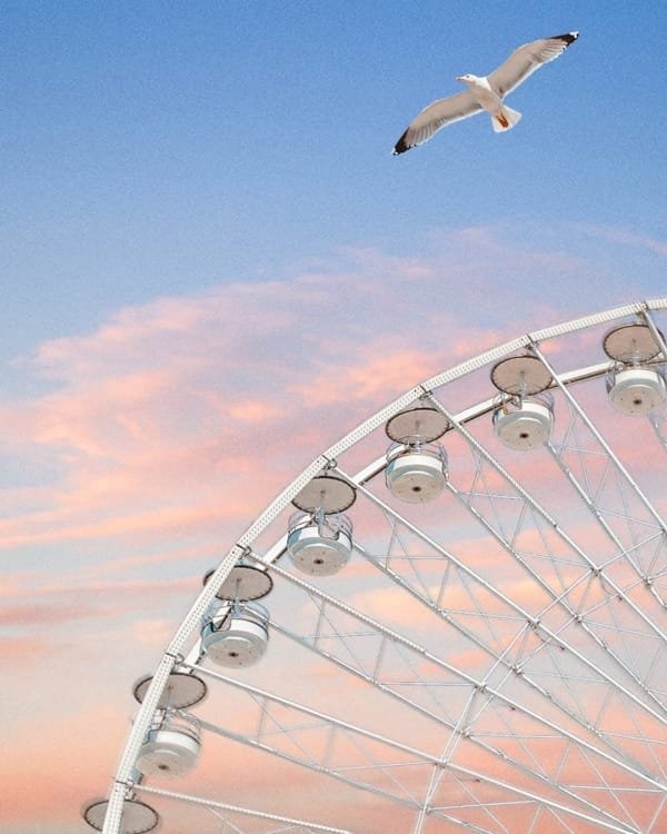 Image Instagram
